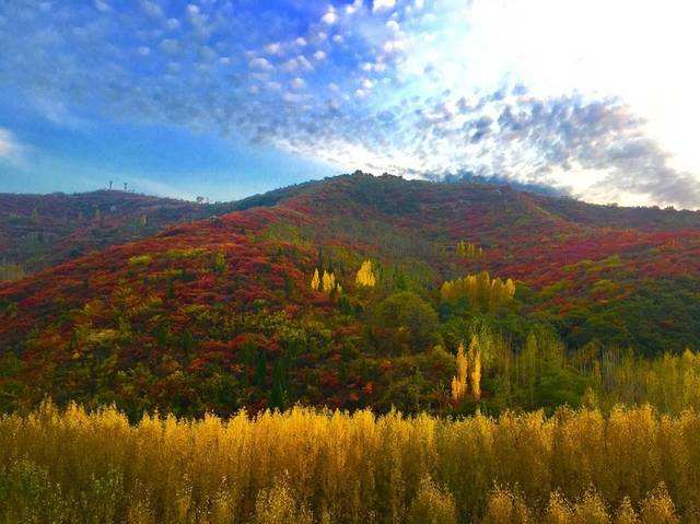 timg (1).jpg timg (1).jpg